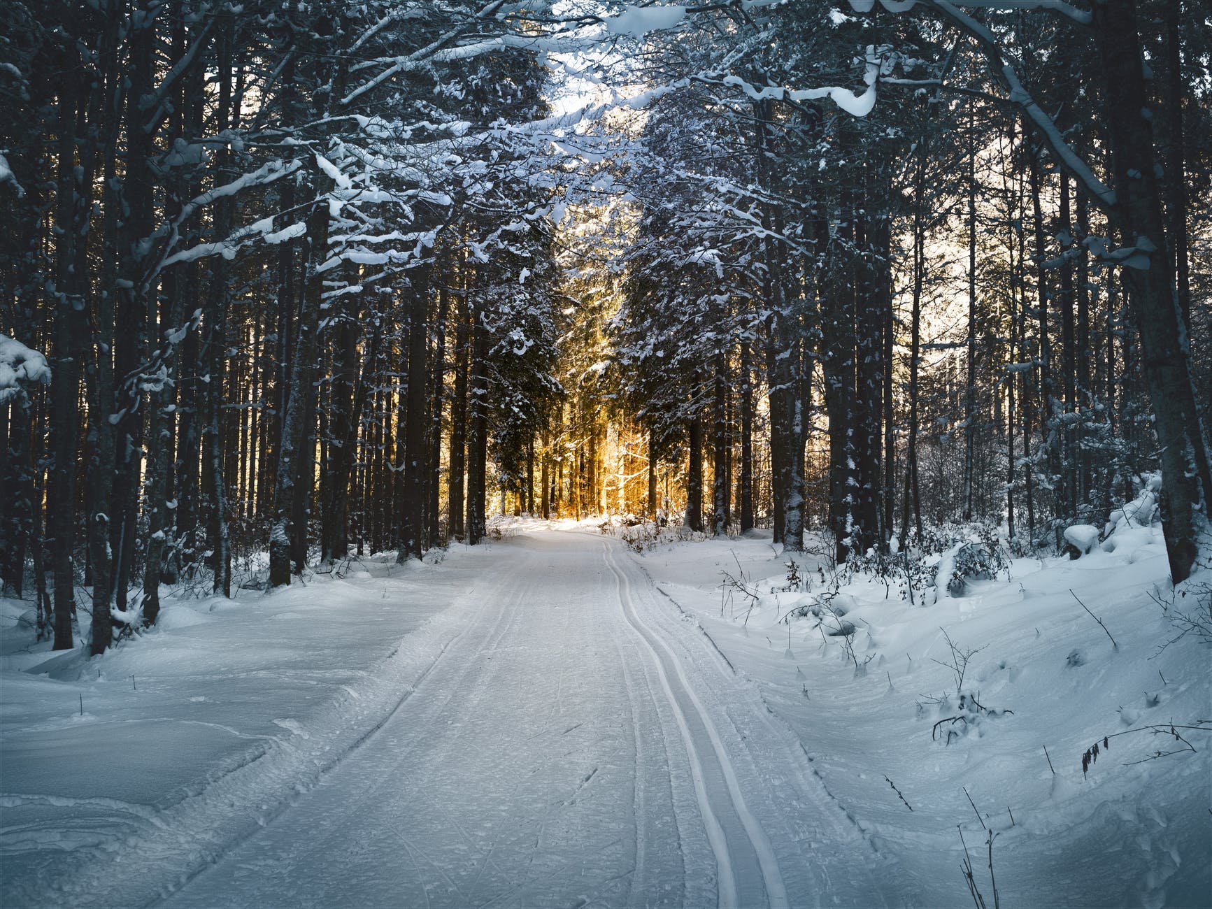 landscape photography of snow pathway between trees during winter