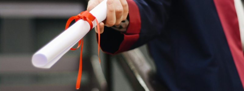 pexels-ekrulila-2292837