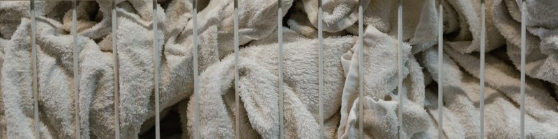 pexels-tima-miroshnichenko-8774511